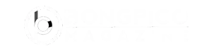 Footer Logo
