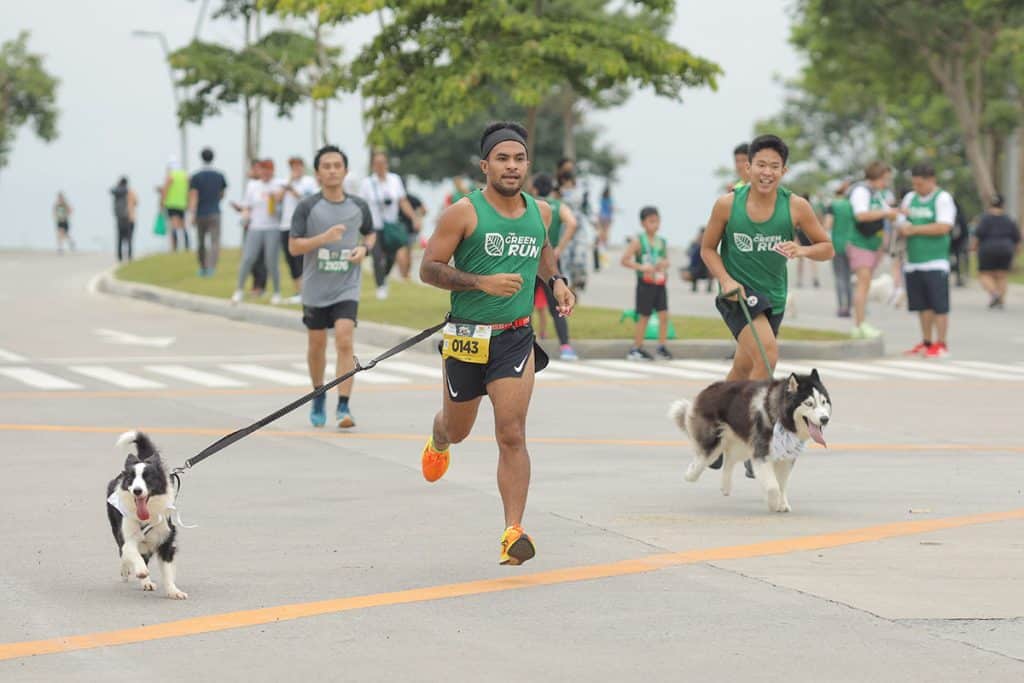 Run for fun, fitness, pets and the environment at Vermosa Green Run 13 The Green Run at Vermosa 2023 2web
